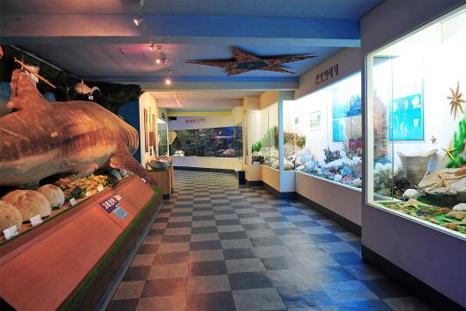 해양자연사박물관